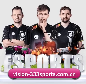 vision-333sports.com.cn APP 界面